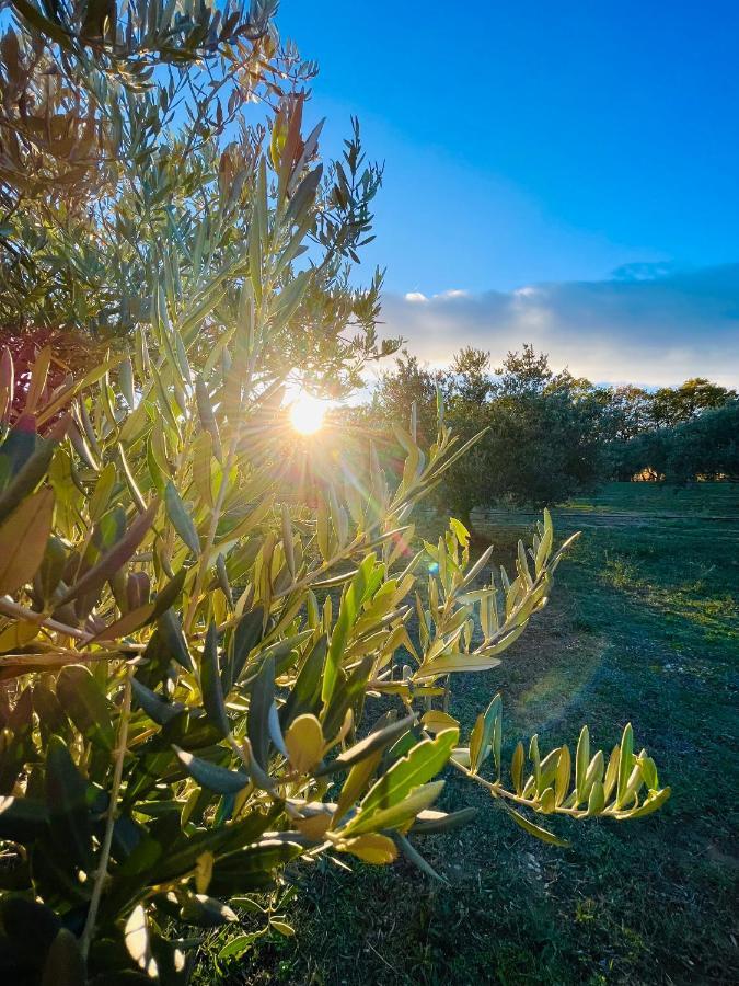 Domaine Amourella Apart otel Lambesc Dış mekan fotoğraf
